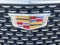 2022 Cadillac Escalade ESV Premium Luxury