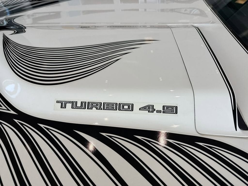 1981 Pontiac Firebird SE