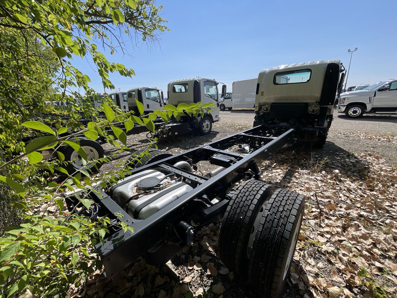 2024 Chevrolet Low Cab Forward 5500 XG 5500