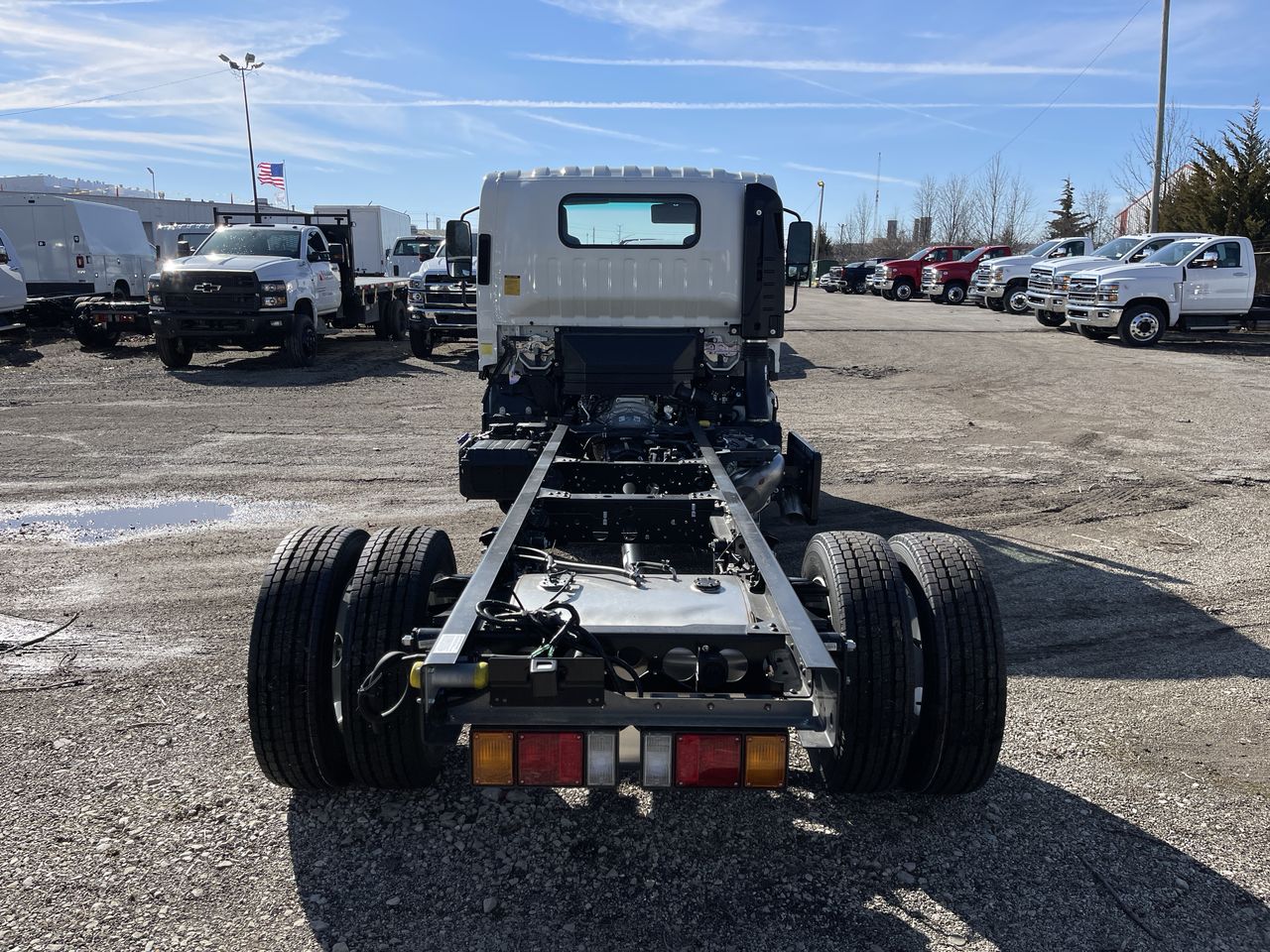 2024 Chevrolet Low Cab Forward 5500 HD 2WD Reg Cab 150